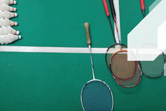 Indoor Racket Sports and Court Hire