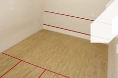 Squash and Racket ball
