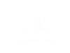 4 court sports hall.